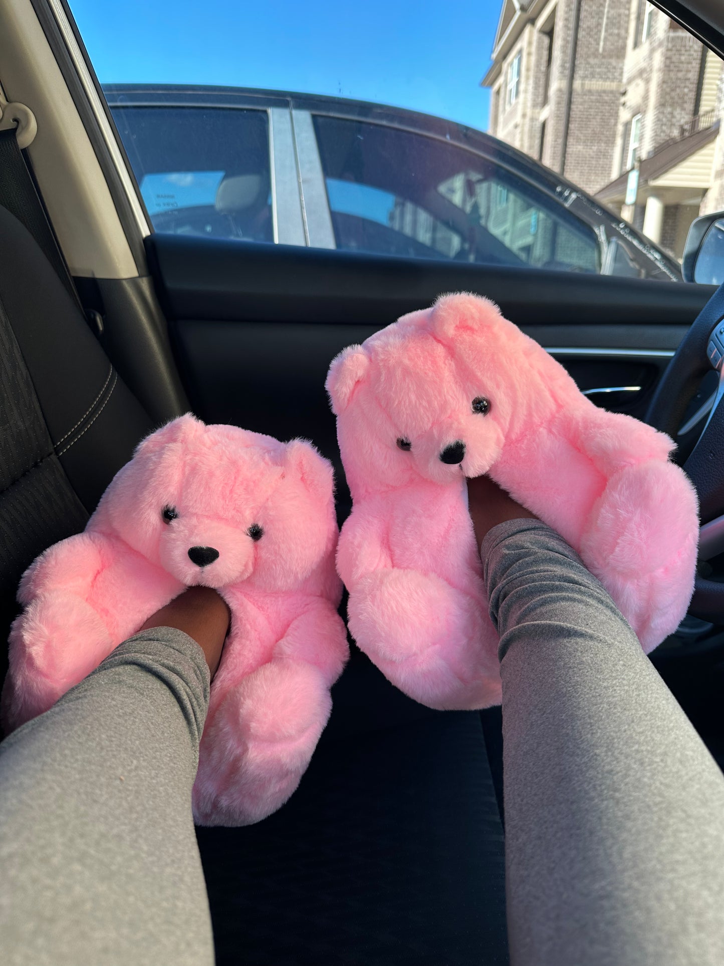 Teddy Slippers (Pink)